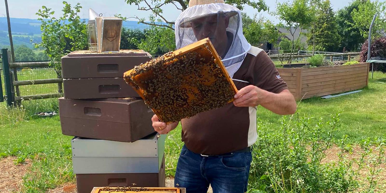 Miel de notre propre apiculture